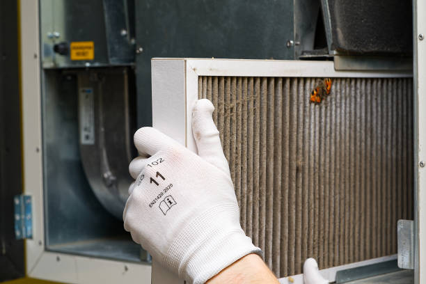 Best Professional Duct Cleaning Services  in Cottonde, AL