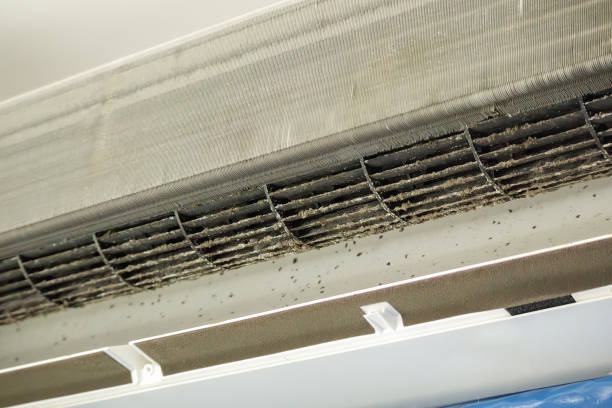 Trusted Cottondale, AL Airduct Cleaning Experts